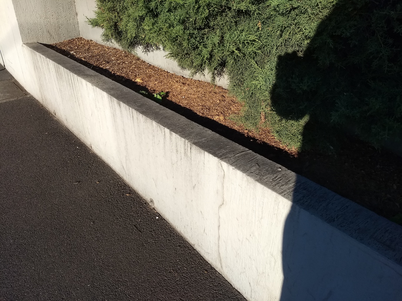 Exterior retaining wall with deposits and grime before cleaning